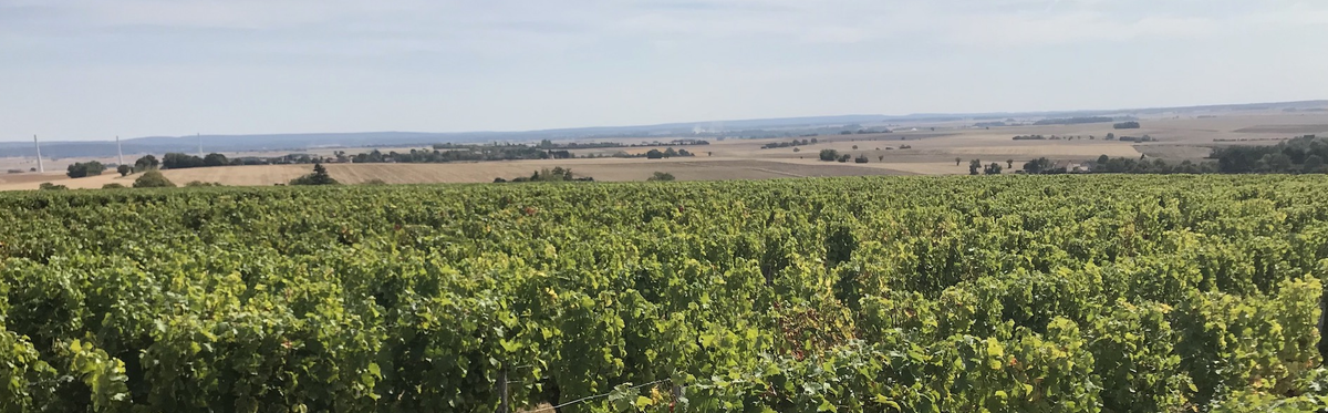 Coteaux du Giennois