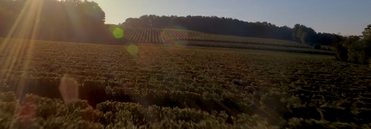 Domaine des Guyons