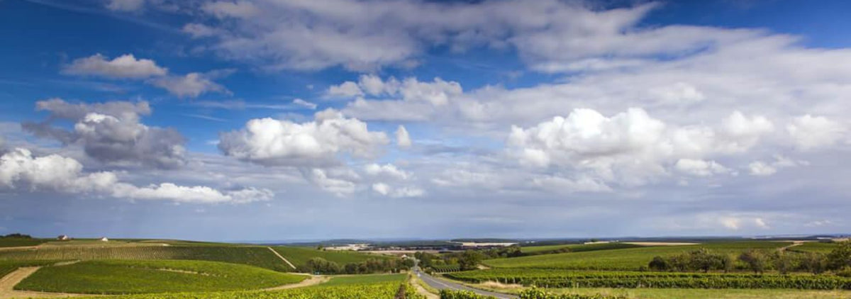 Domaine Lecomte