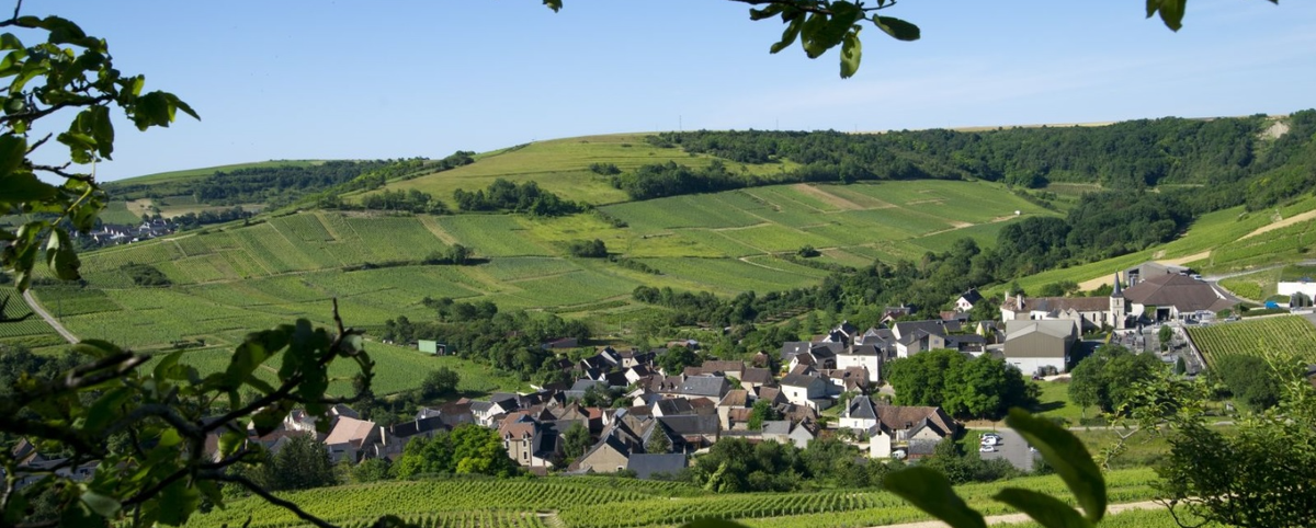 Domaine Martin - Sancerre - Chavignol