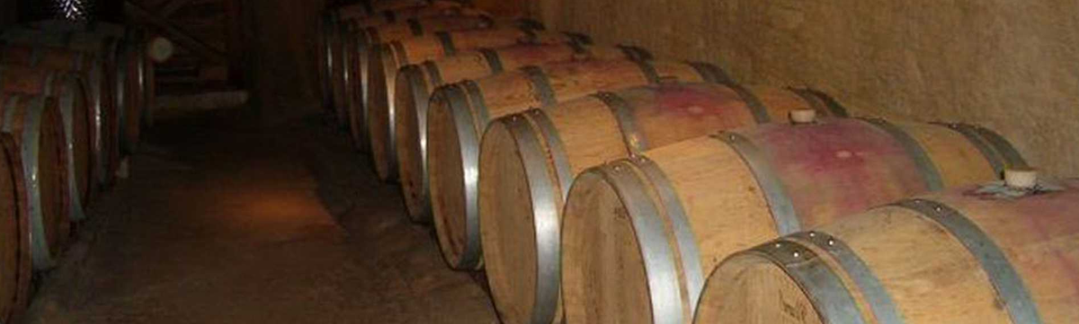 Domaine Philippe Alliet à Chinon