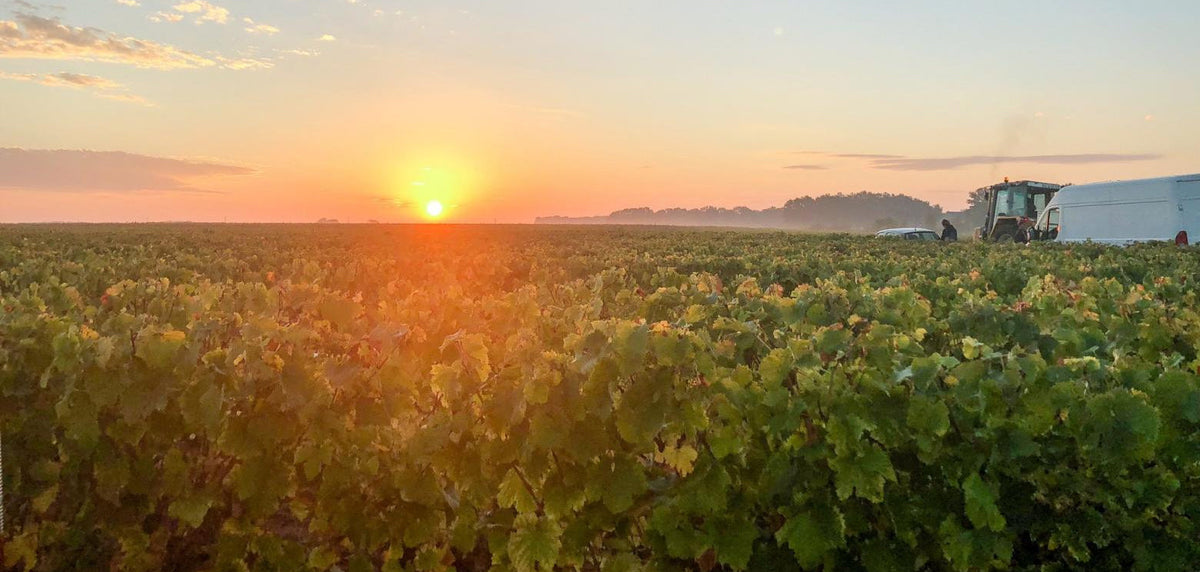 Domaine Vincent Carême