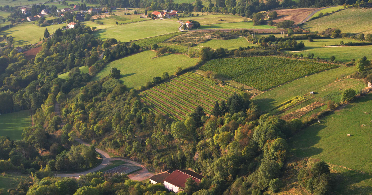 Domaine Vincent Giraudon