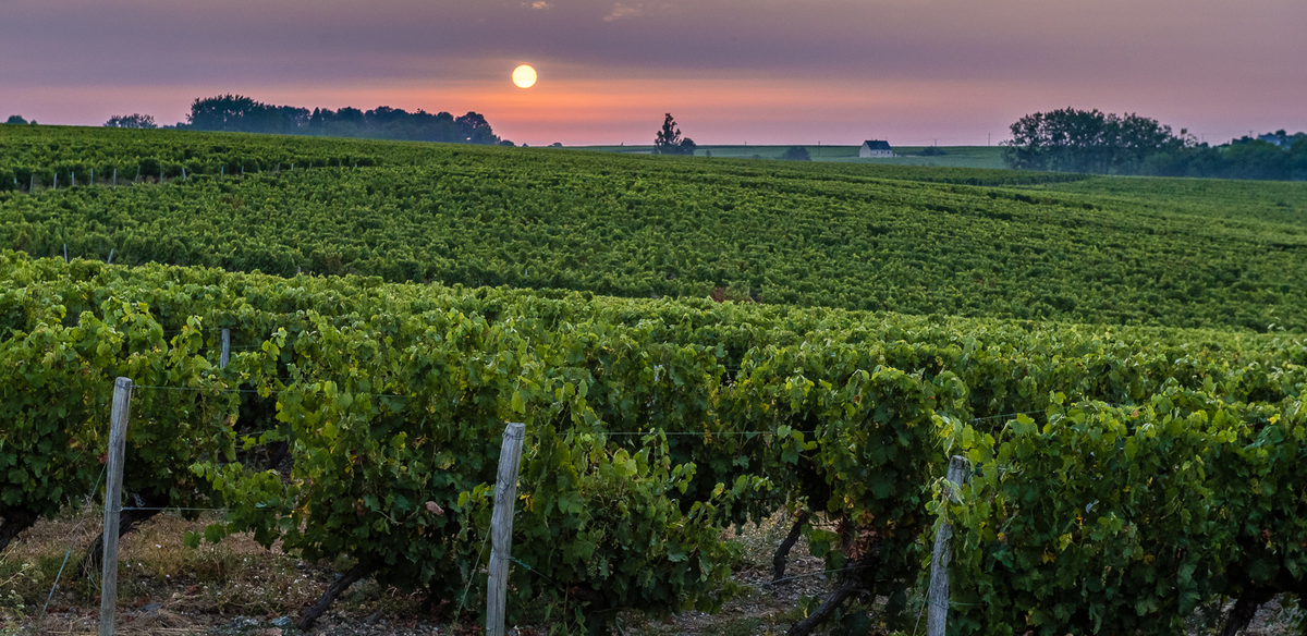 Domaine de la Poterie