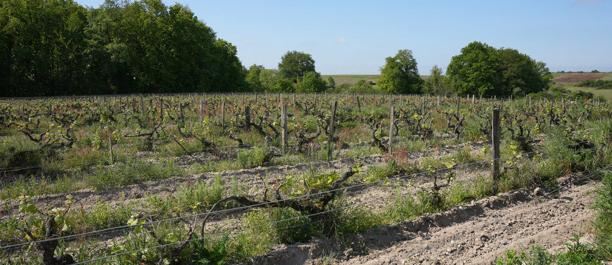 Domaine de Beaumont - Vouvray