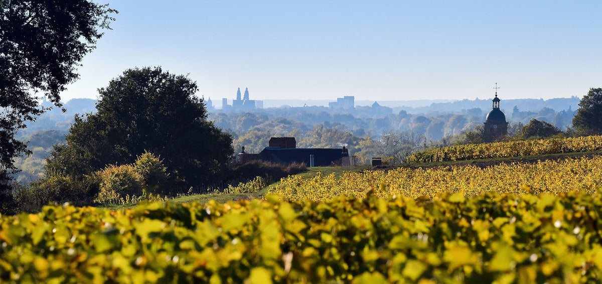 Domaine Foreau - Vouvray
