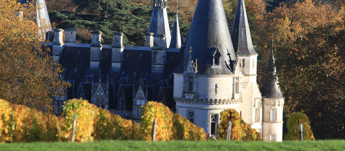 Les meilleurs vins de Pouilly-sur-Loire