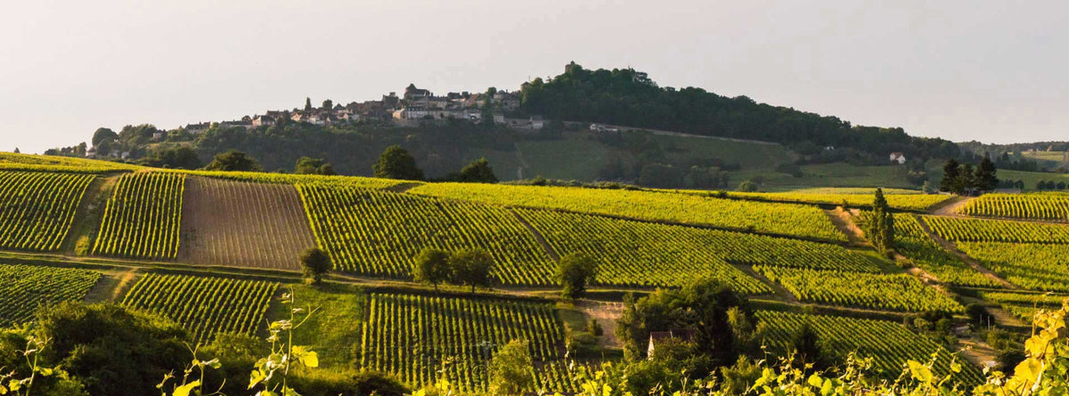 Les plus grands vins de Sancerre