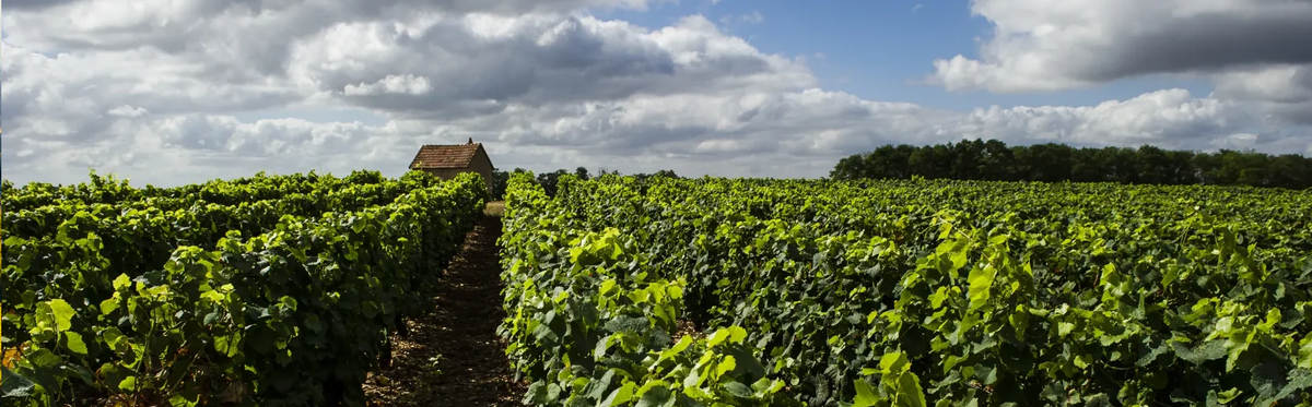 Domaine Emile Balland