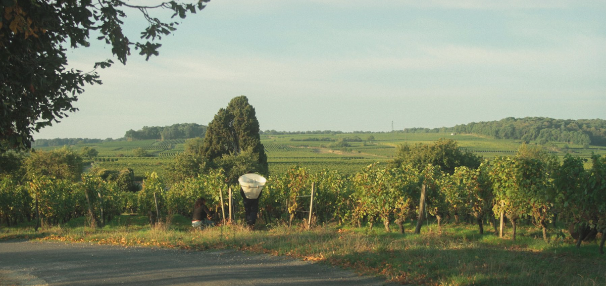 Domaine du Valbrun
