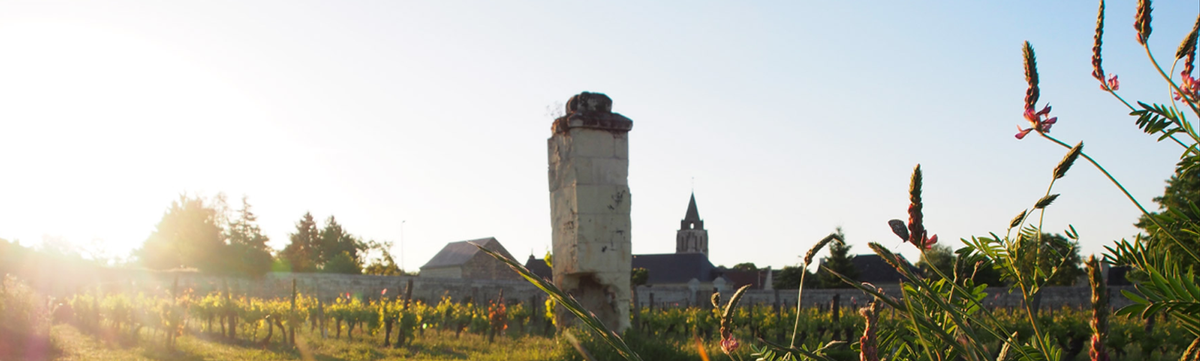 Domaine du Bel Air - Pierre Gauthier