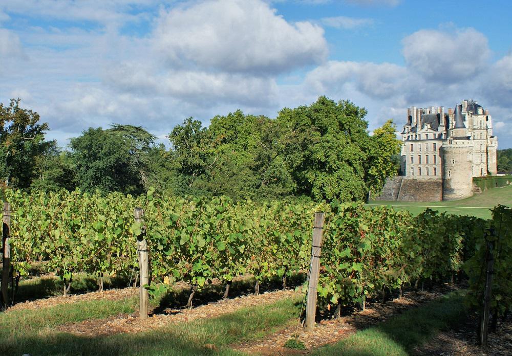 Vignes d'Anjou Villages et Anjou Villages Brissac