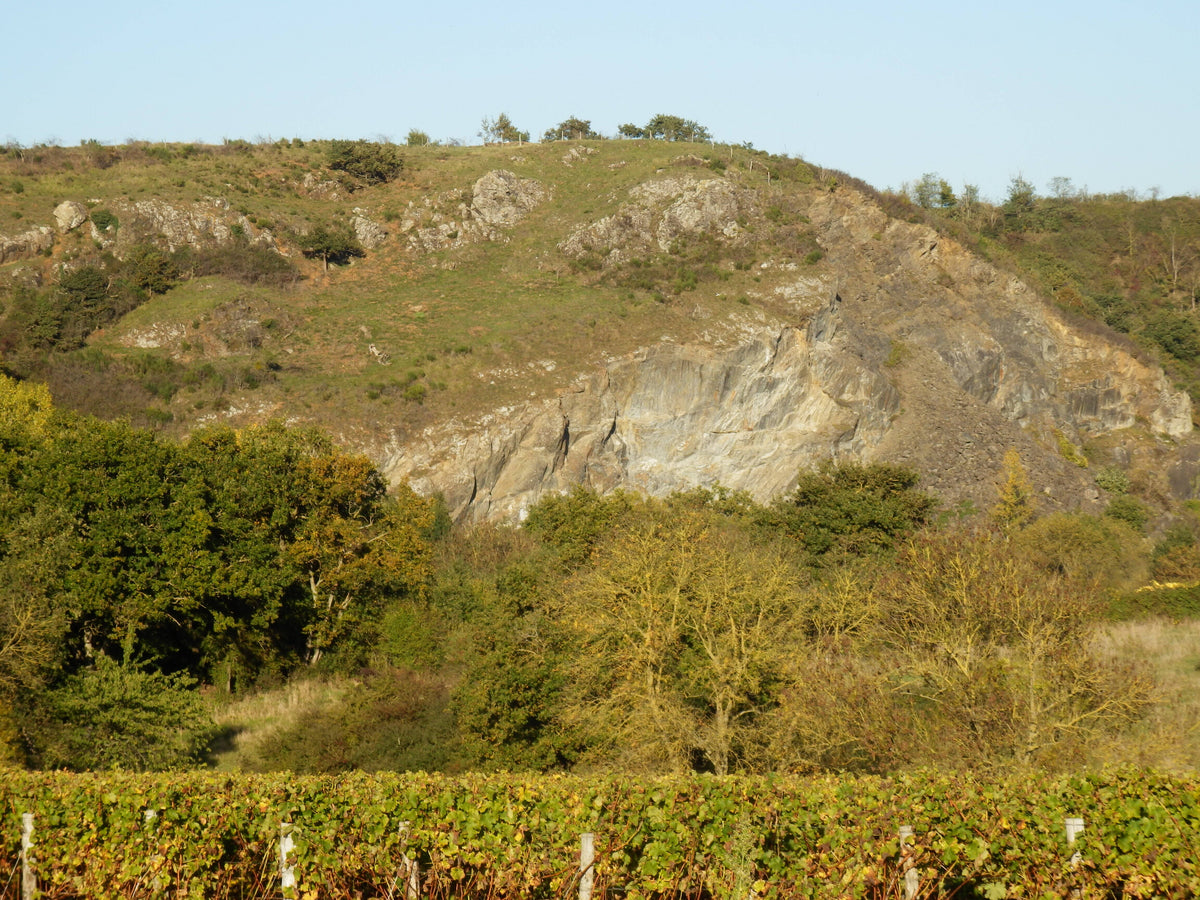 Le Vin d'Anjou est lié au Massif Armoricain
