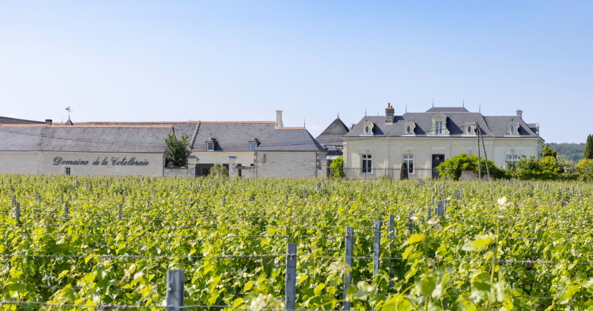Domaine de la Cotelleraie