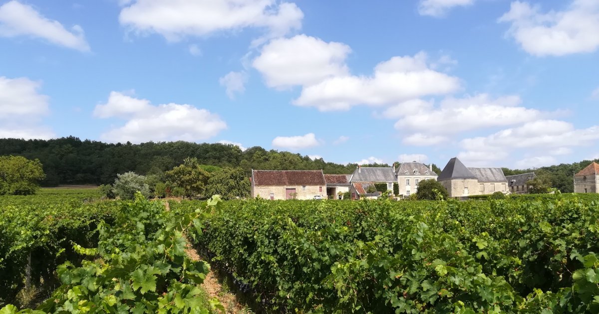 Domaine Grosbois à Chinon