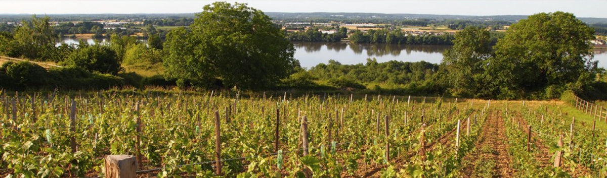 Château du Hureau - Saumur