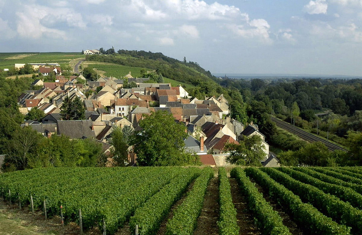 Les meilleurs vins de Pouilly-Fumé