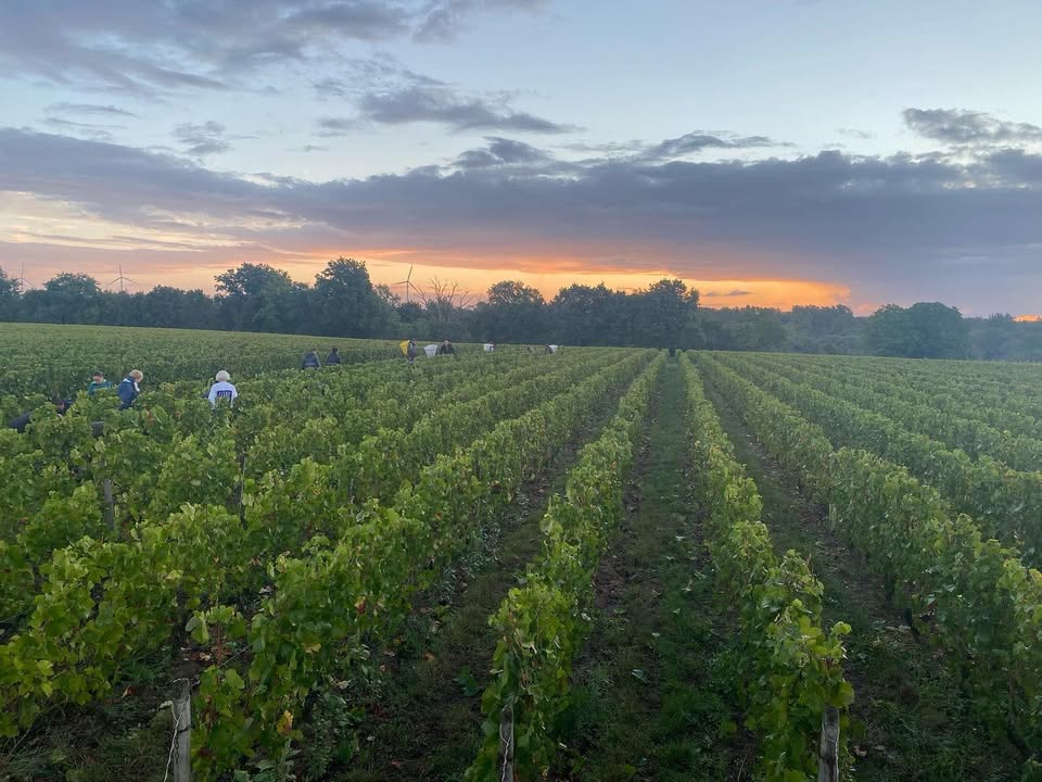 Domaine Luc Tabordet