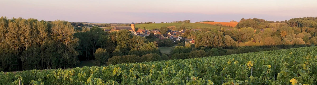 Domaine de Reuilly