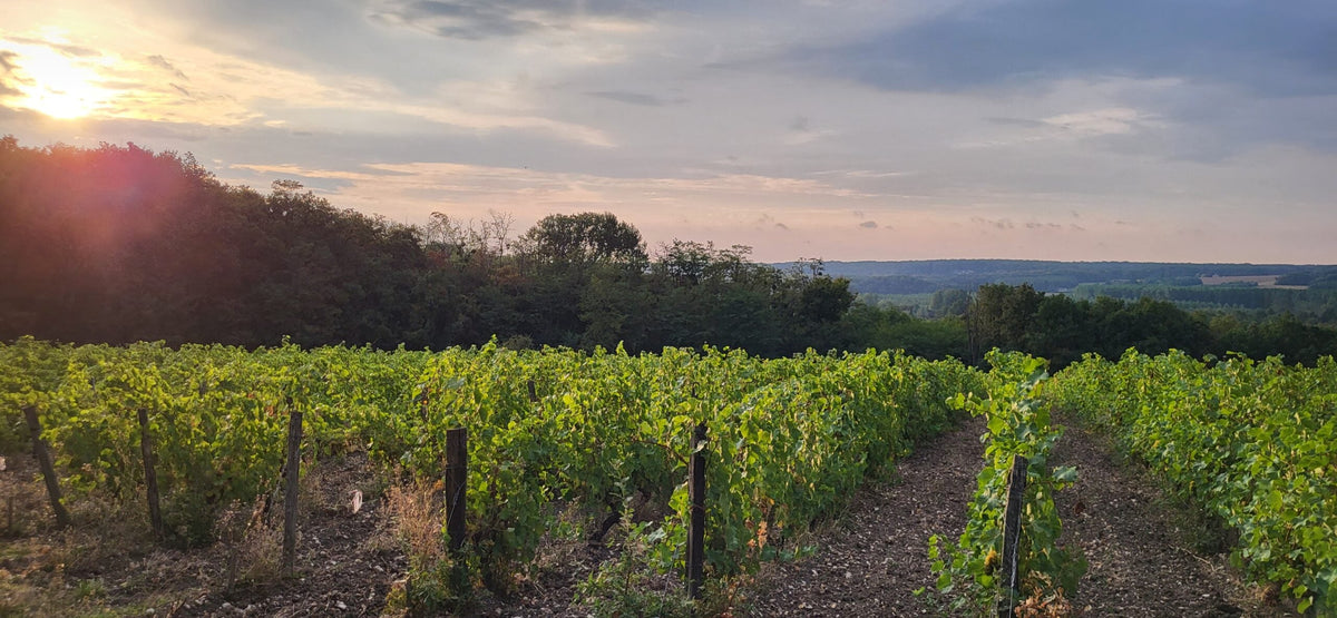 Les Hauts Baigneux - Pépites de Loire