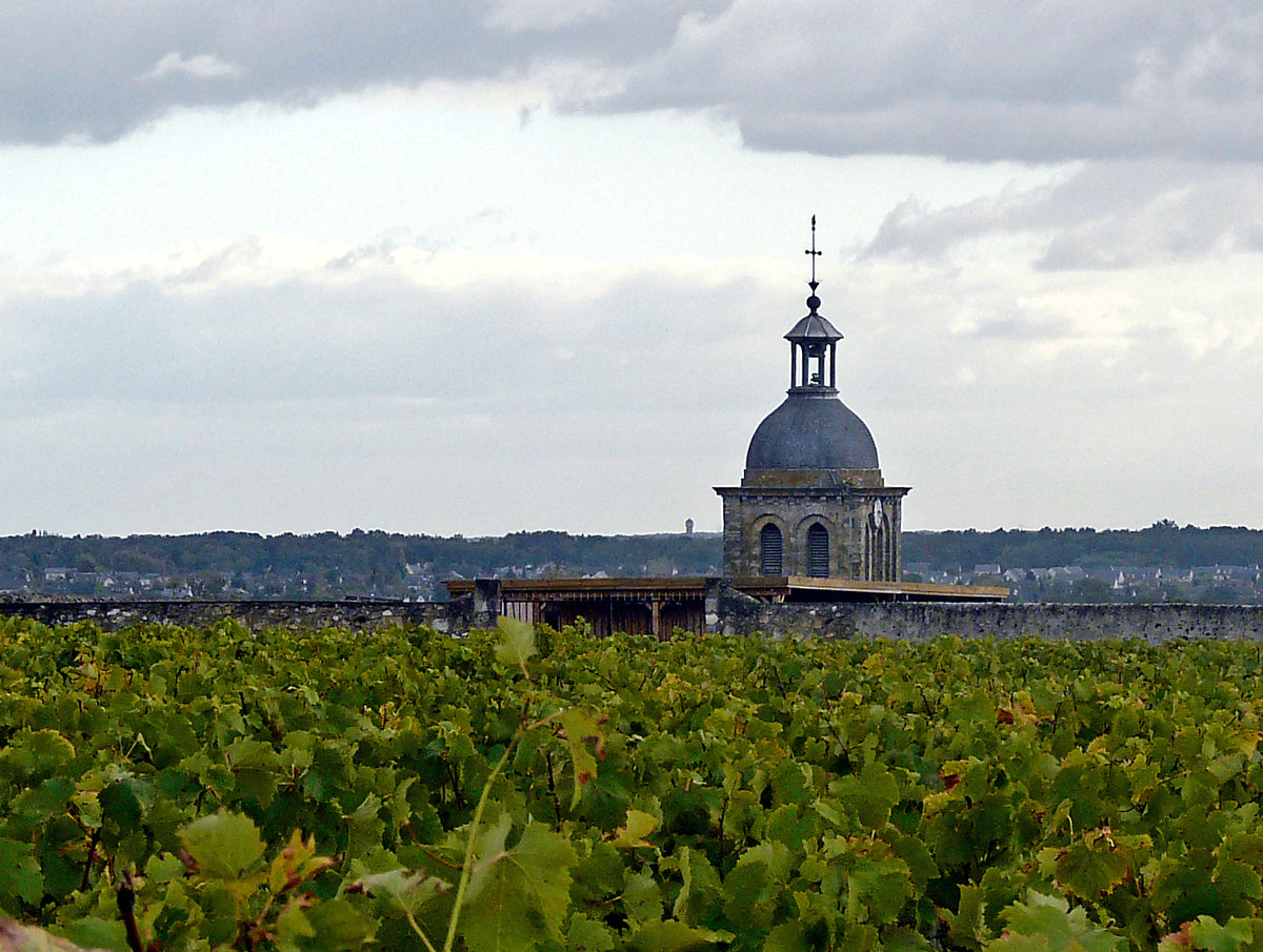 Les meilleurs vins de Vouvray