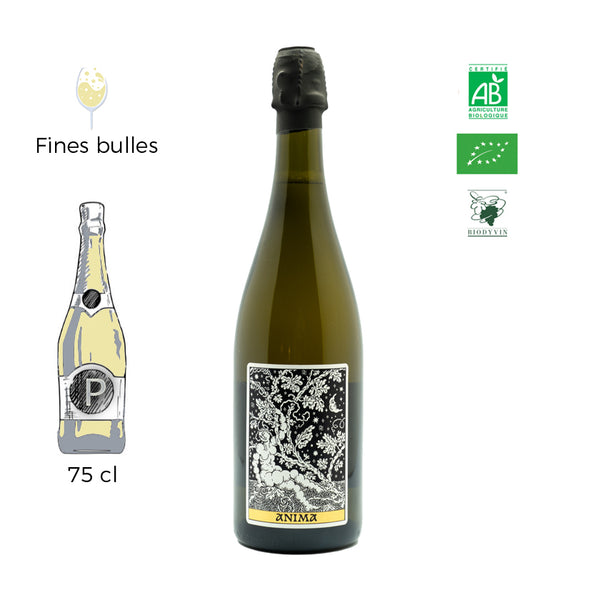 Anima - Domaine Frédéric Mabileau