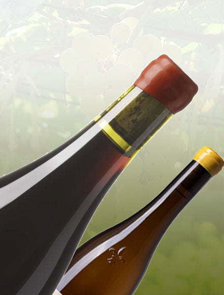 Box de 1 vin blanc et 1 vin rouge - Pépites de Loire