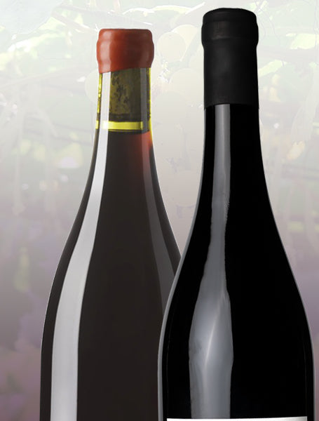 Box de 2 vins rouges- Pépites de Loire