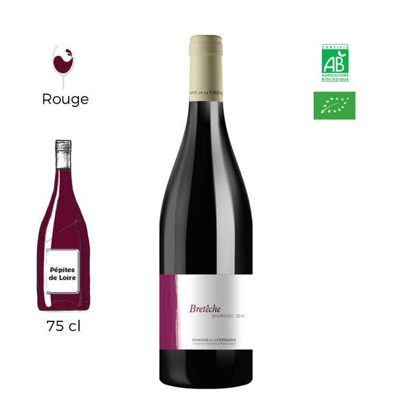 Bretêche - Domaine de la Chevalerie - Bourgueil