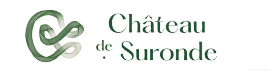 Château de Suronde
