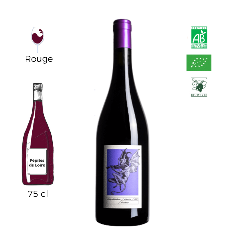 Diantre - Domaine Frédéric Mabileau