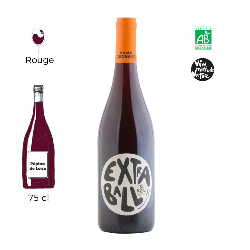 Extra-Ball - Domaine Grosbois - Chinon