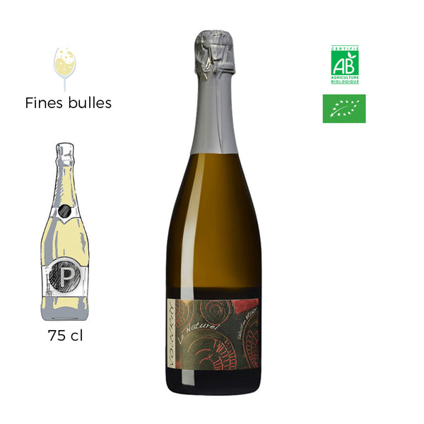 Pétillant Naturel - Domaine Sébastien Brunet