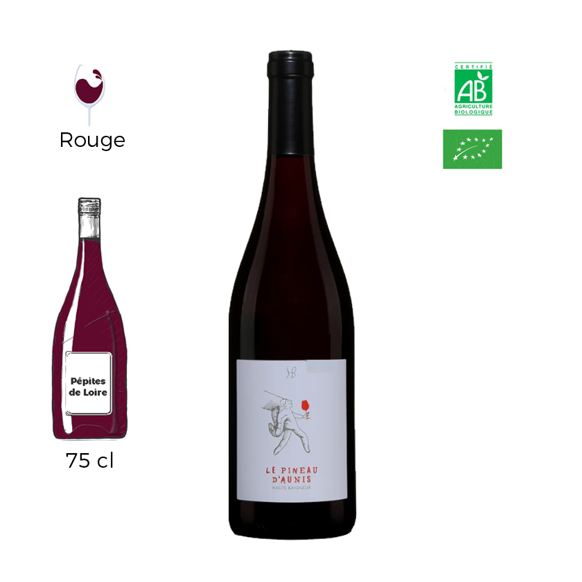Le Pineau d'aunis du Domaine des Hauts Baigneux