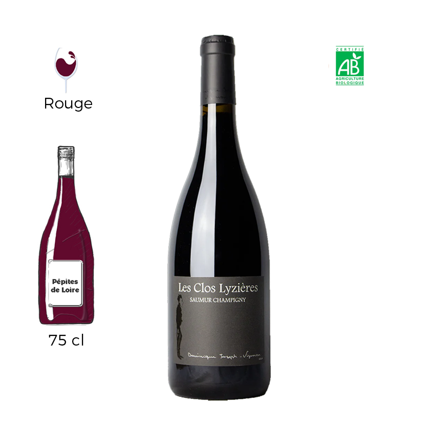 Les Clos Lyzières - Le Petit Saint Vincent - Saumur Champigny