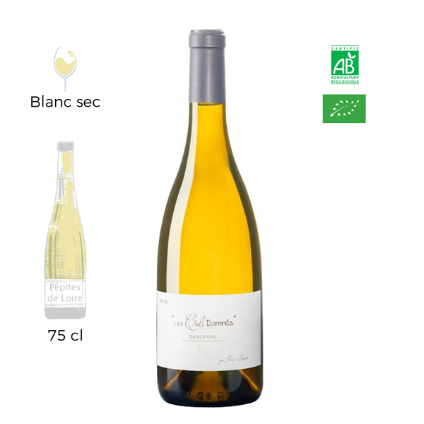 Culs Damnés - Domaine Martin - Sancerre