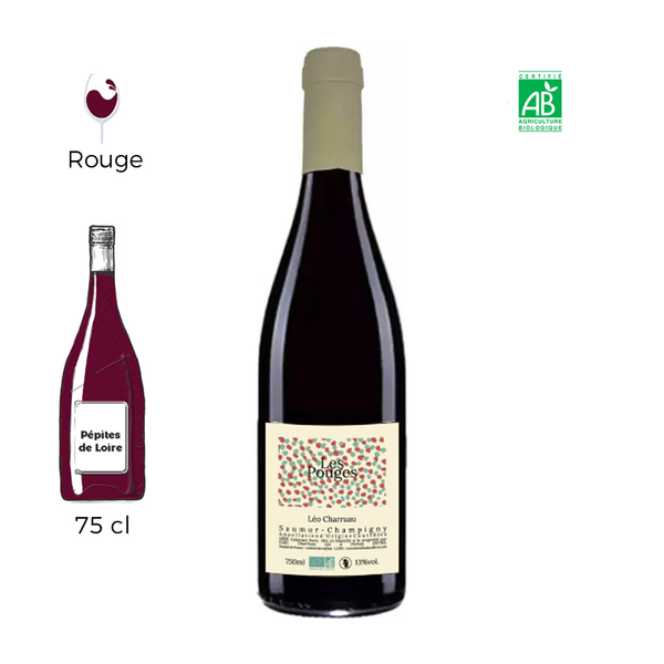 Les Pouges - Domaine du Valbrun