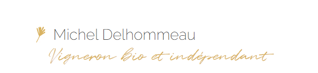 Michel Delhommeau