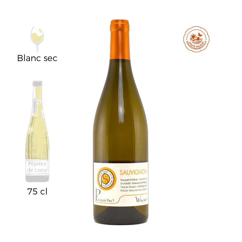Pourquoi pas - Domaine Sauger