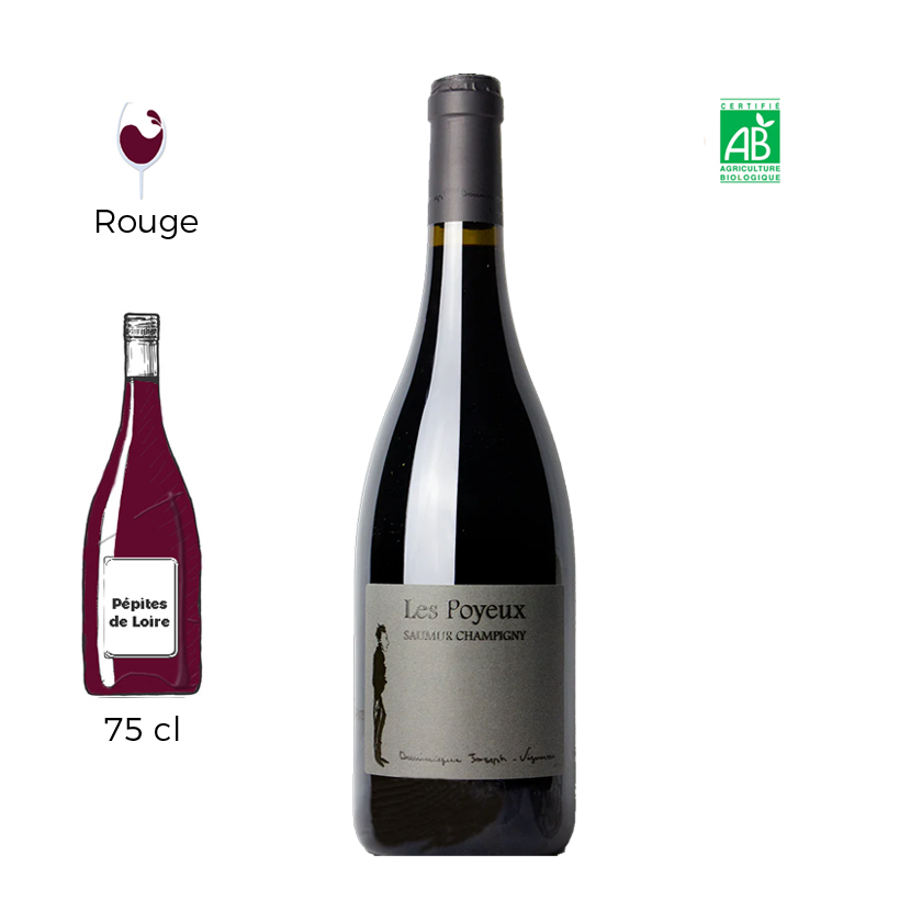 Les Poyeux - Le Petit Saint Vincent - Saumur Champigny