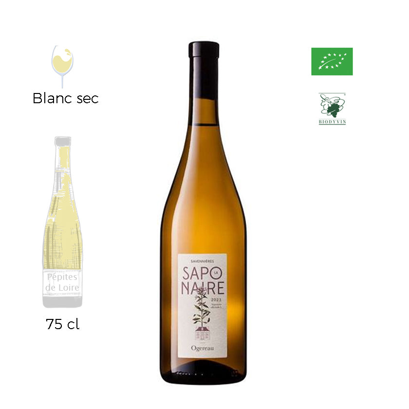 Saponaire - Domaine Ogereau - Savennières