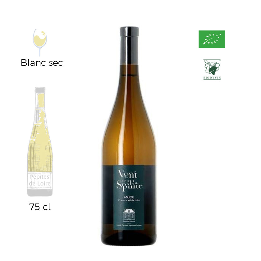 Vent de Spilite - Domaine Ogereau