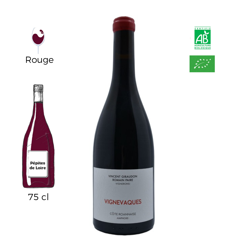 Vignes Vaques - Domaine Vincent Giraudon