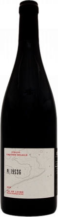 Gamay Noir 2023